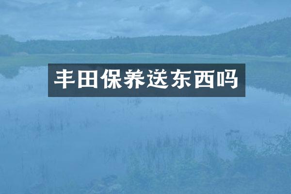 丰田保养送东西吗