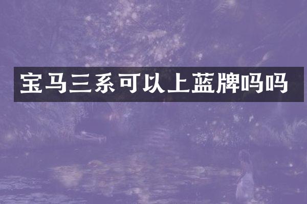 宝马三系可以上蓝牌吗吗