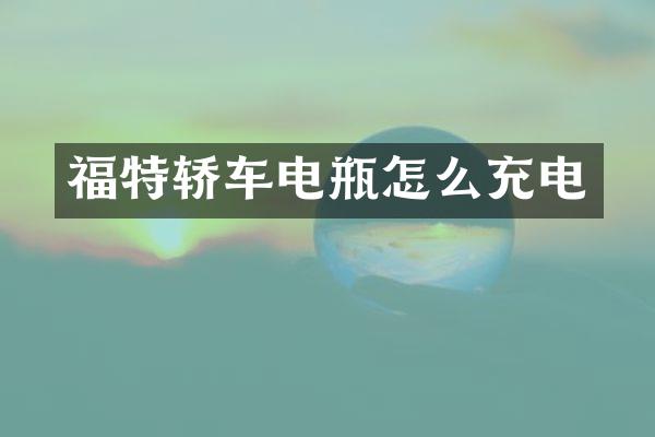 福特轿车电瓶怎么充电