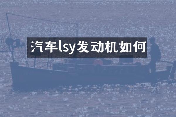 汽车lsy发动机如何