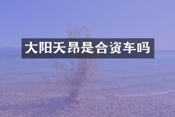 大阳天昂是合资车吗