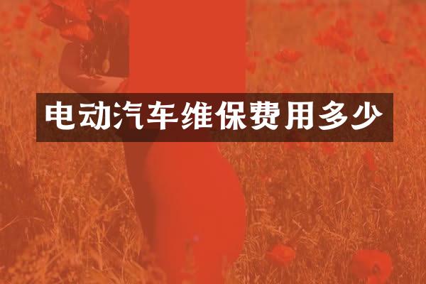 电动汽车维保费用多少
