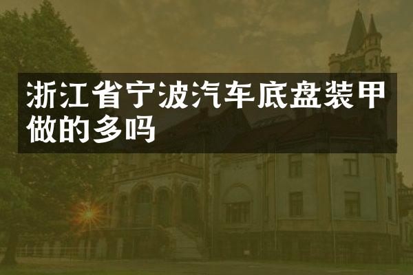 浙江省宁波汽车底盘装甲做的多吗