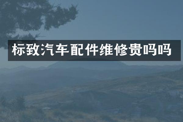 标致汽车配件维修贵吗吗