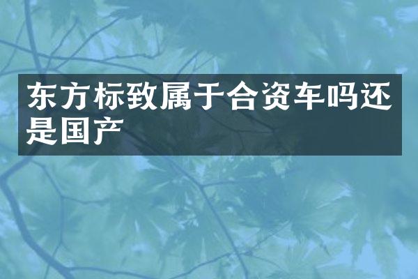 东方标致属于合资车吗还是国产