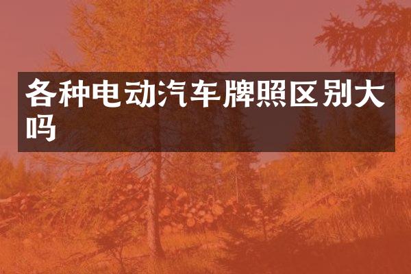 各种电动汽车牌照区别大吗