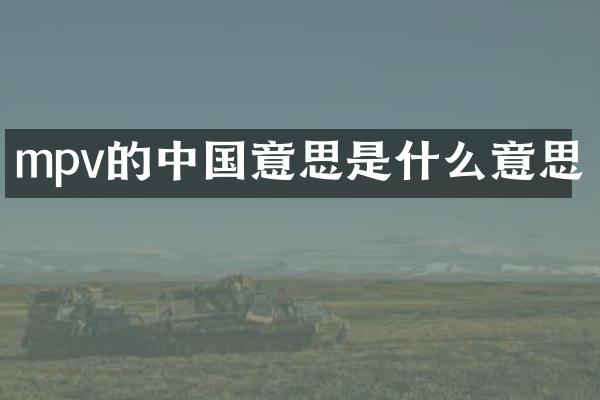 mpv的中国意思是什么意思