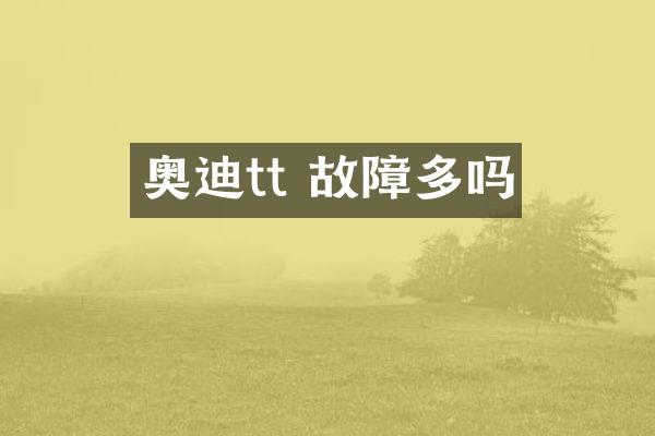 奥迪tt 故障多吗