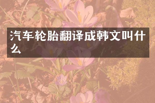汽车轮胎翻译成韩文叫什么