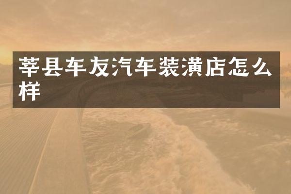 莘县车友汽车装潢店怎么样