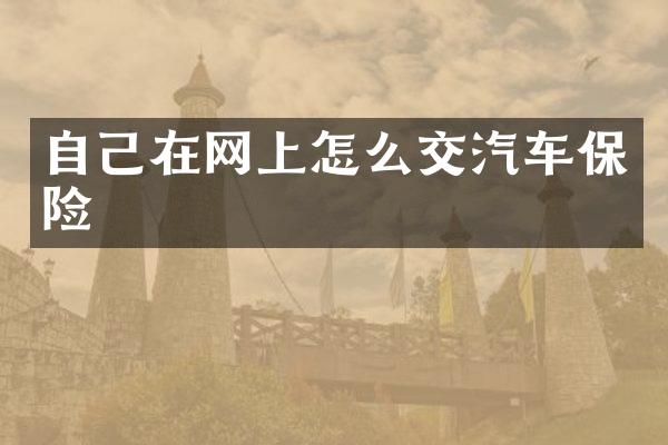 自己在网上怎么交汽车保险