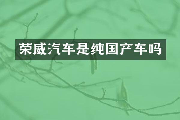 荣威汽车是纯国产车吗