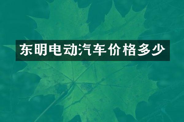 东明电动汽车价格多少