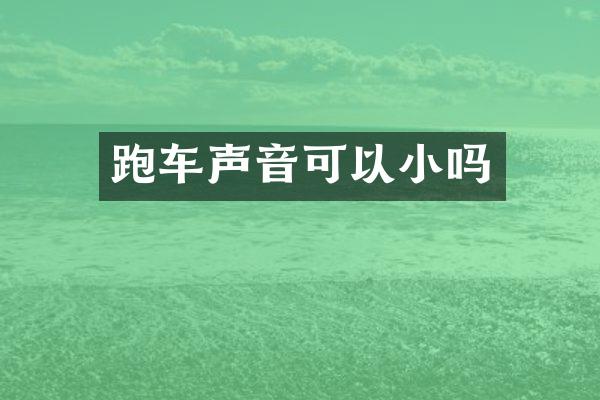 跑车声音可以小吗