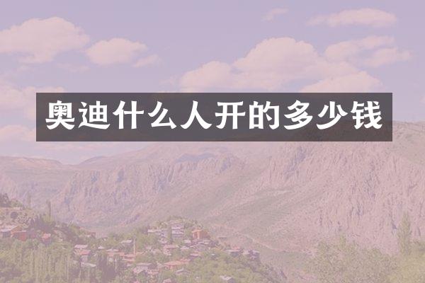 奥迪什么人开的多少钱