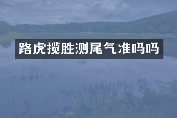 路虎揽胜测尾气准吗吗