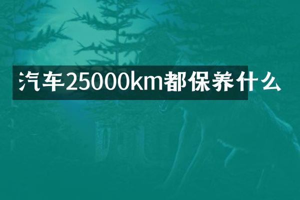 汽车25000km都保养什么