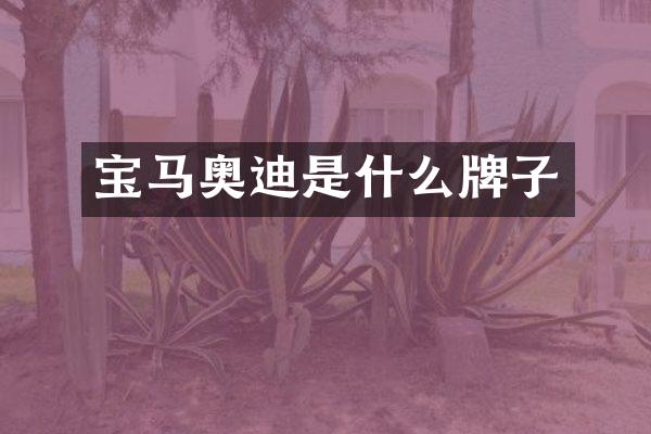 宝马奥迪是什么牌子