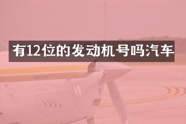 有12位的发动机号吗汽车