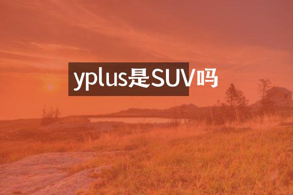 yplus是SUV吗