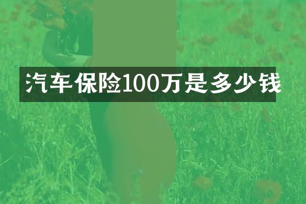 汽车保险100万是多少钱