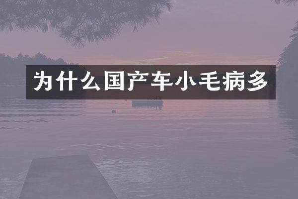 为什么国产车小毛病多