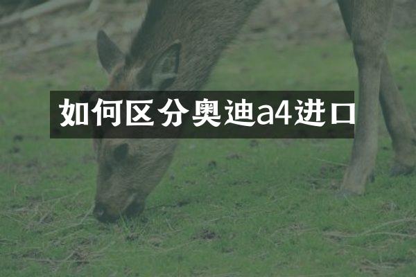 如何区分奥迪a4进口