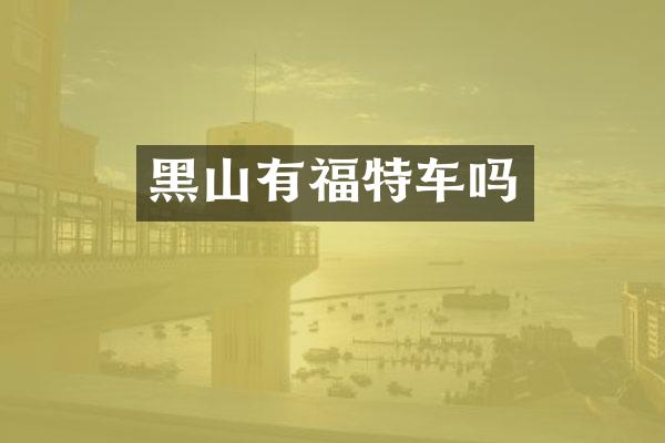 黑山有福特车吗