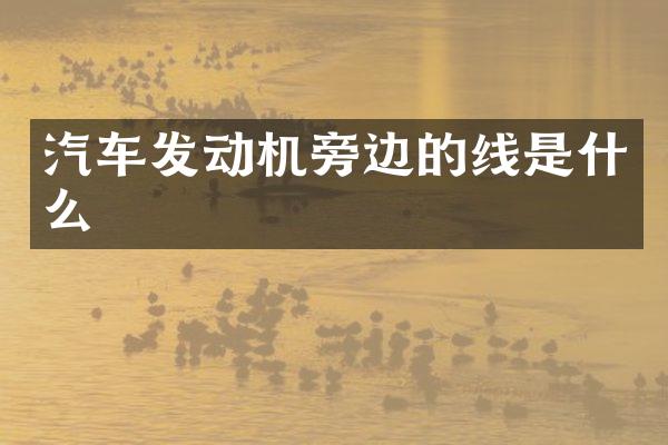 汽车发动机旁边的线是什么