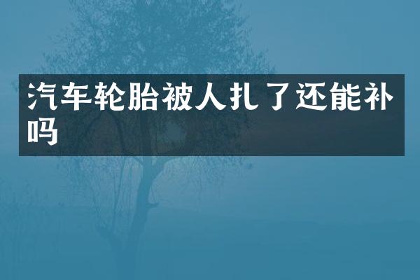 汽车轮胎被人扎了还能补吗