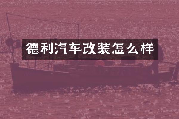 德利汽车改装怎么样