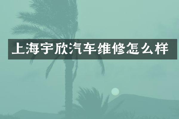 上海宇欣汽车维修怎么样