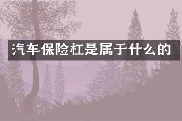 汽车保险杠是属于什么的