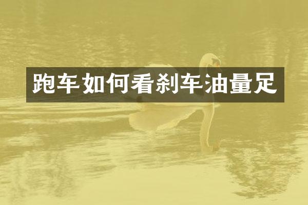 跑车如何看刹车油量足