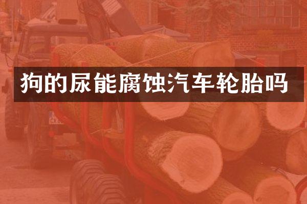 狗的尿能腐蚀汽车轮胎吗