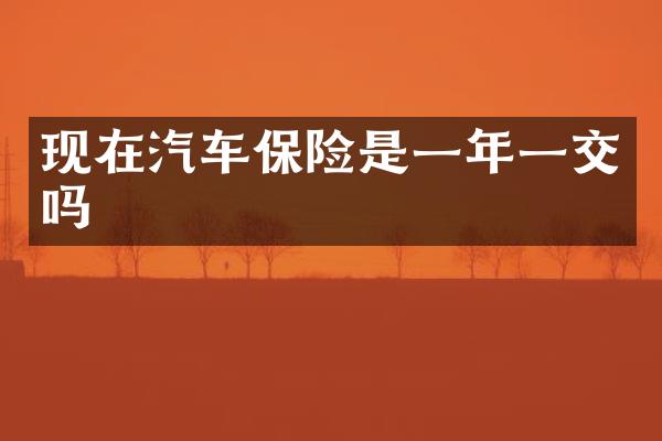 现在汽车保险是一年一交吗