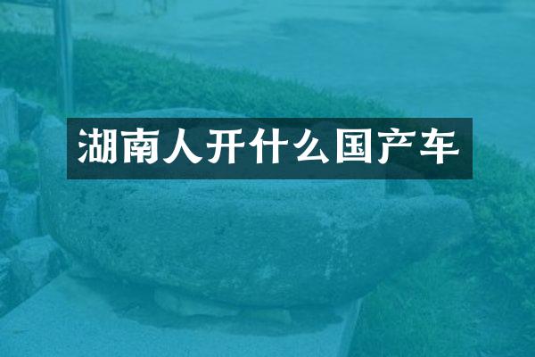湖南人开什么国产车