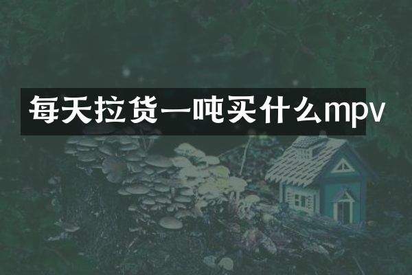 每天拉货一吨mpv
