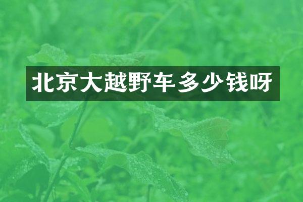 北京大越野车多少钱呀