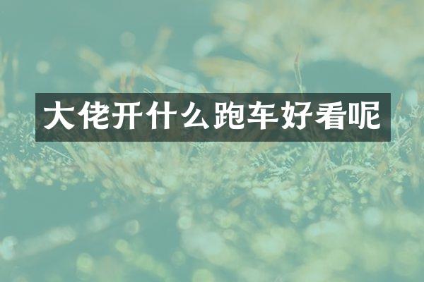 大佬开什么跑车好看呢