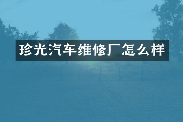 珍光汽车维修厂怎么样