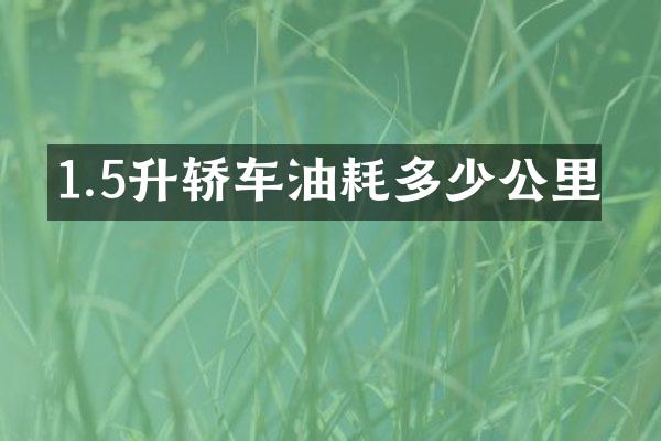 1.5升轿车油耗多少公里