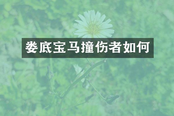 娄底宝马撞伤者如何