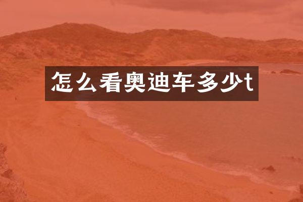 怎么看奥迪车多少t