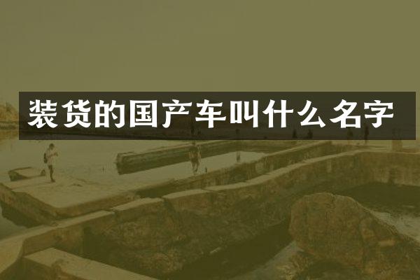 装货的国产车叫什么名字