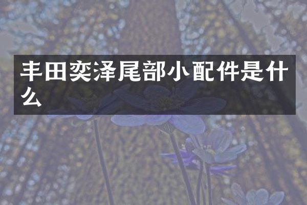 丰田奕泽尾部小配件是什么