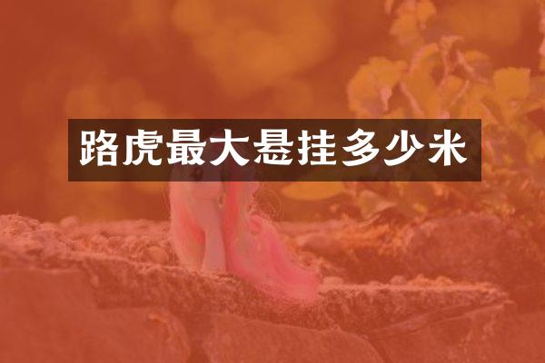 路虎最大悬挂多少米