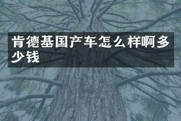 肯德基国产车怎么样啊多少钱