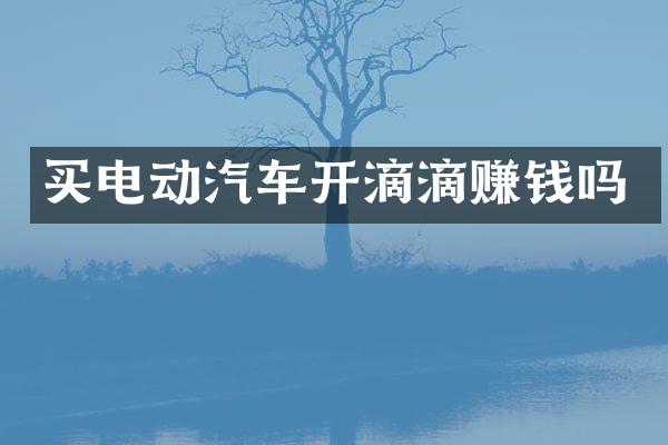 买电动汽车开滴滴赚钱吗