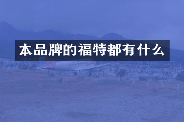 本品牌的福特都有什么